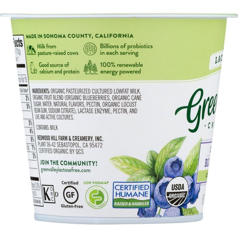 Green Valley Creamery Yogurt, Lactose Free, Low Fat, Organic, Blueberry