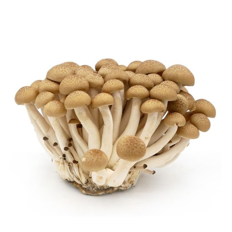 Korean Organic Brown Shimeji Mushroom (250 g) Instacart