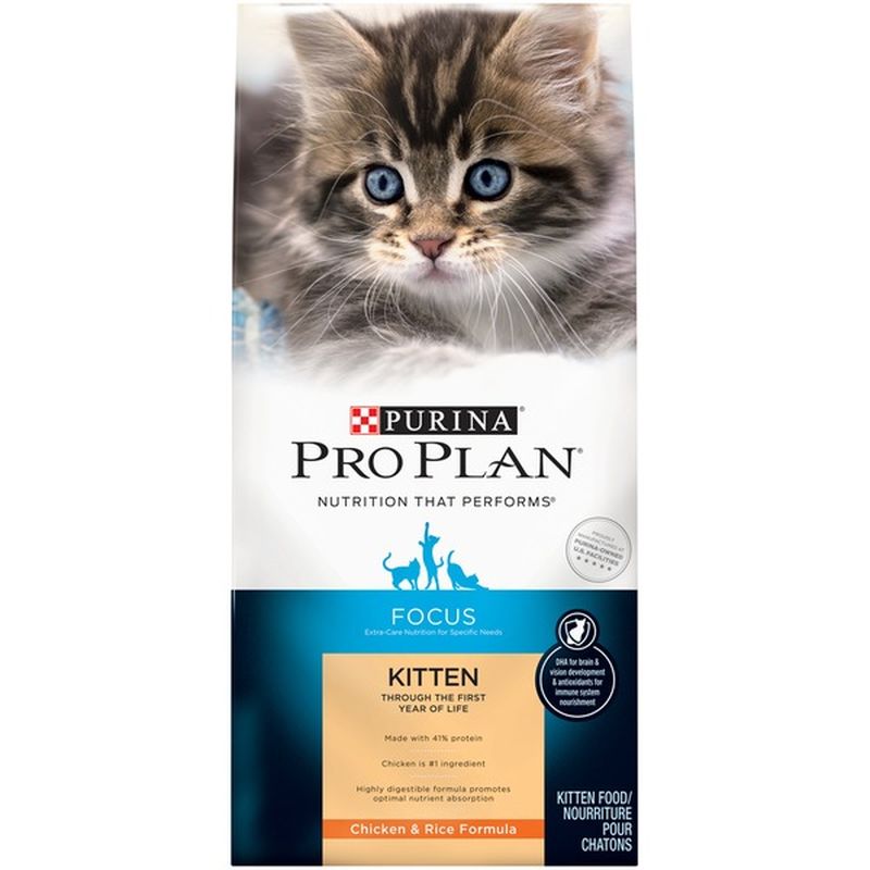high protein kitten food dry