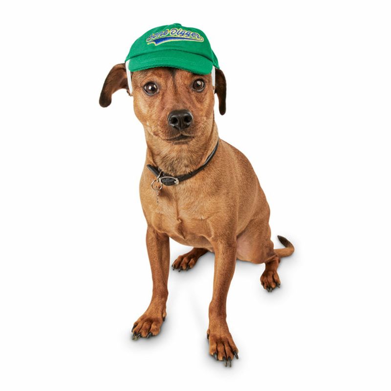 Bond & Co. Ps Small to Medium Bone Digger Hat