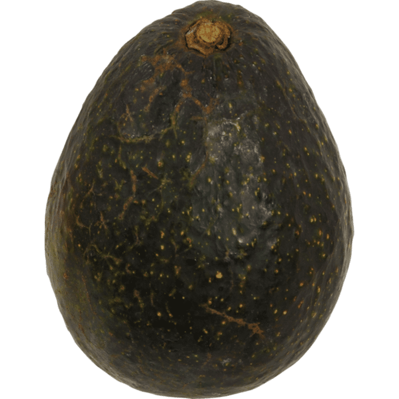 Organic - Avocado- Small