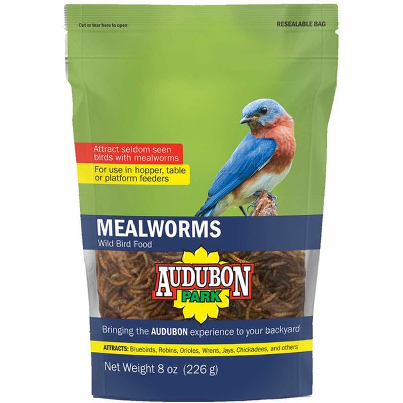 Mealworms Near Me