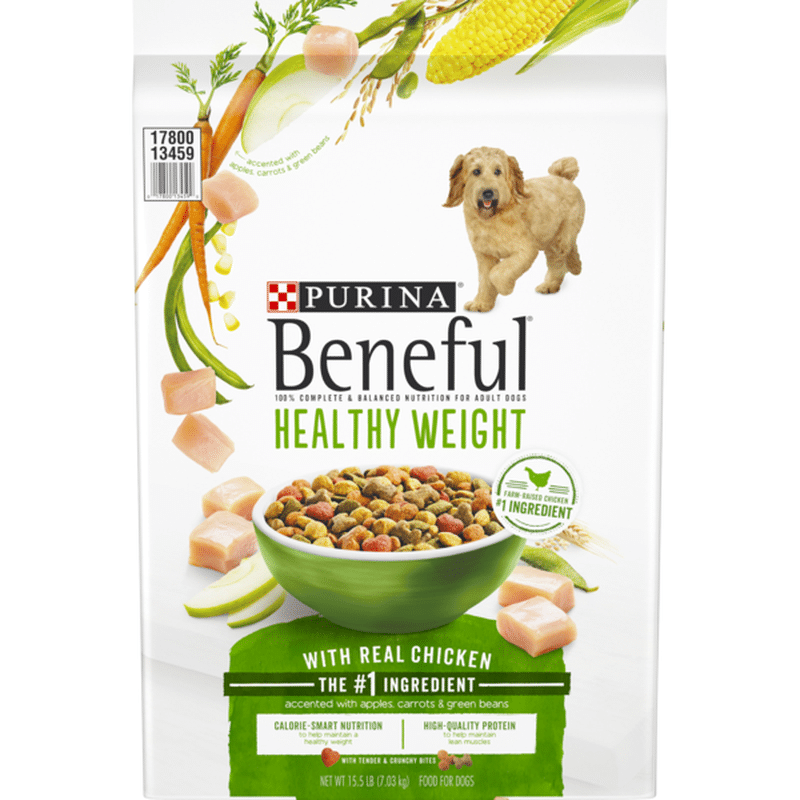 beneful puppy food walmart