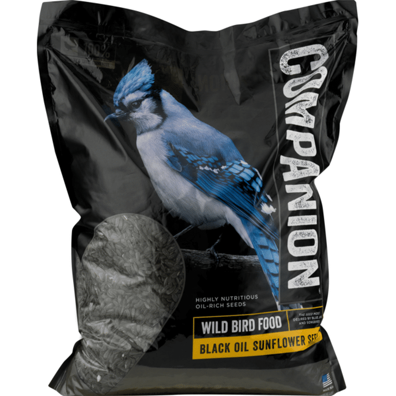 Companion Black Oil Sunflower Seeds Wild Bird Food (10 lb) from Stop