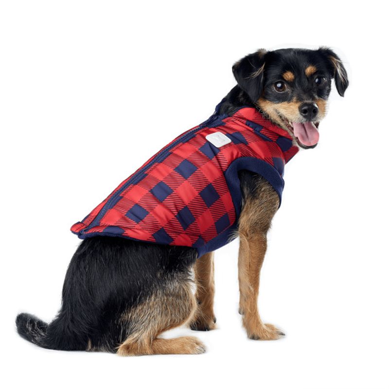 pup crew bomber jacket