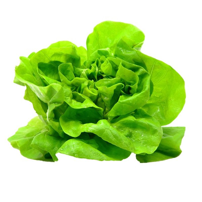 difference-between-red-and-green-leaf-lettuce-erinnudi