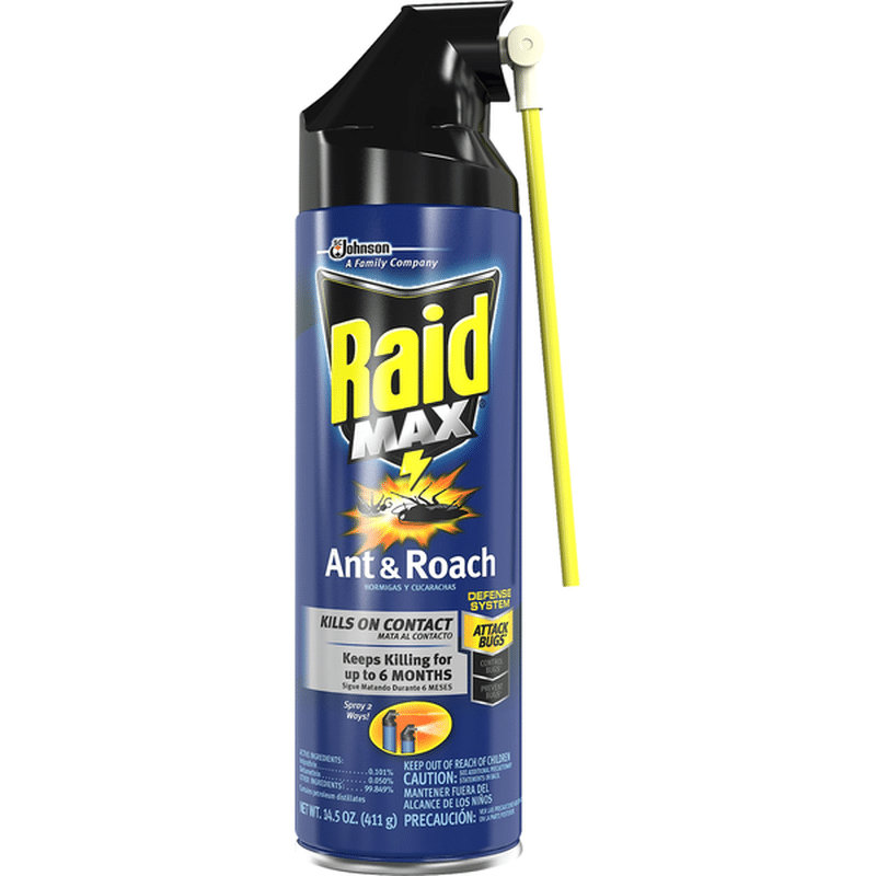 Raid Ant & Roach, Spray (14 fl oz) from CVS Pharmacy® Instacart