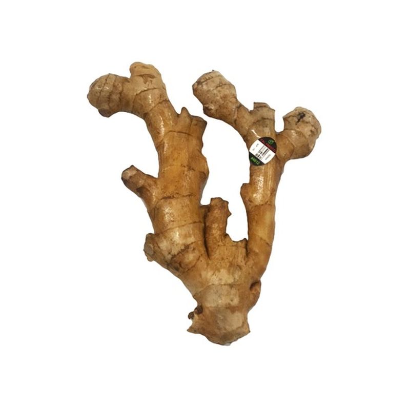 Ginger Root