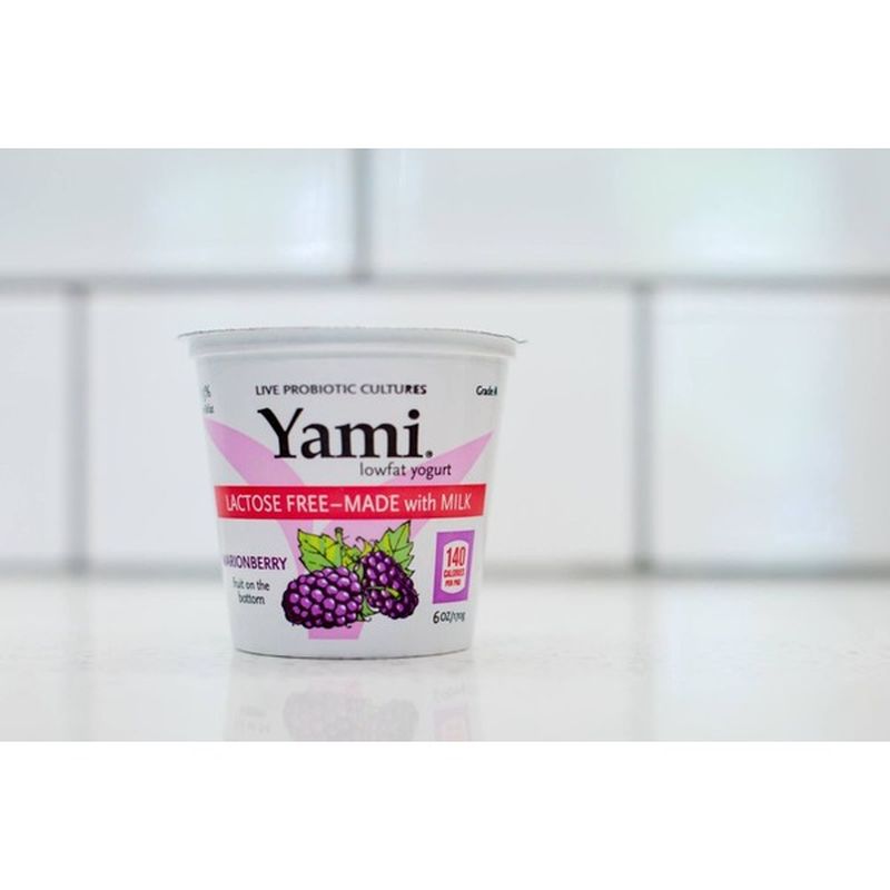 Yami Marionberry Low Fat Yogurt