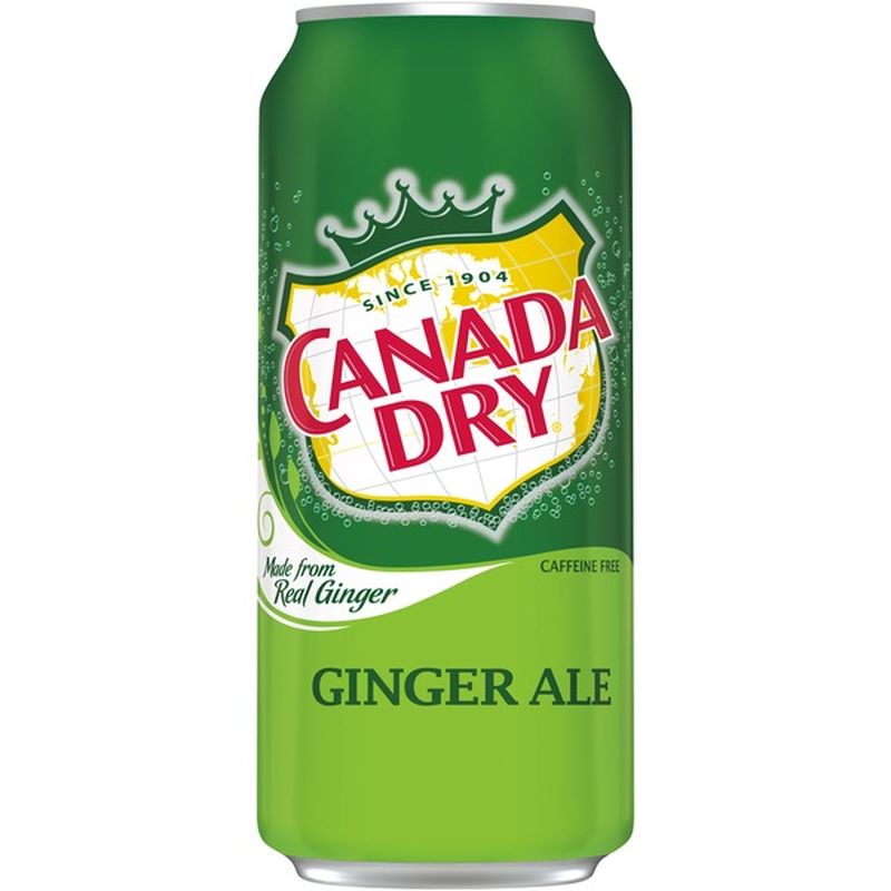 Canada Dry Diet Ginger Ale And Lemonade 12 Fl Oz 48 Cans Stores Canada Dry Ginger Ale 16 Fl Oz Instacart