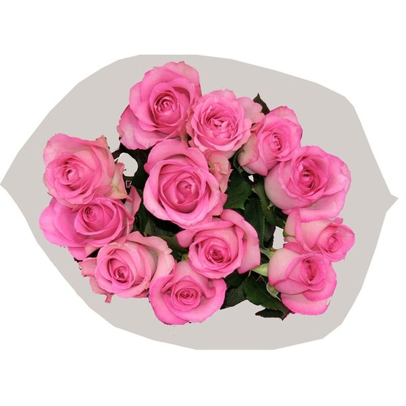 Dozen Color Roses