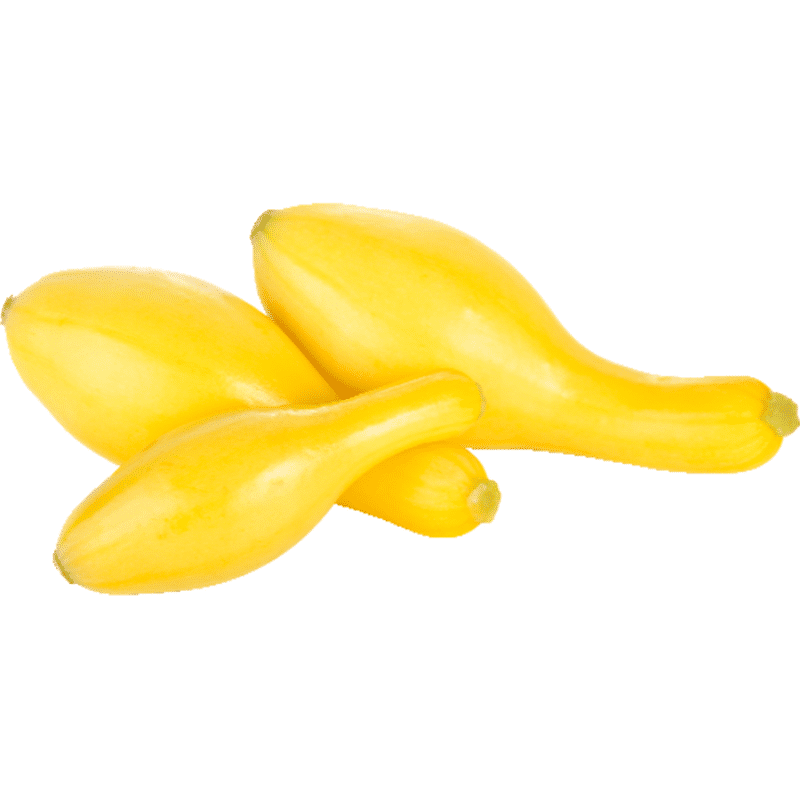 Organic Yellow Squash