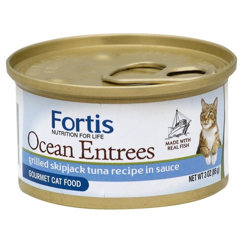 central bearded dragon care