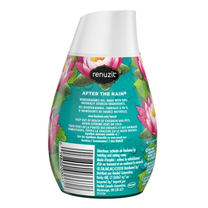 Renuzit Solid Gel Air Freshener Cone, After the Rain (7 oz) from