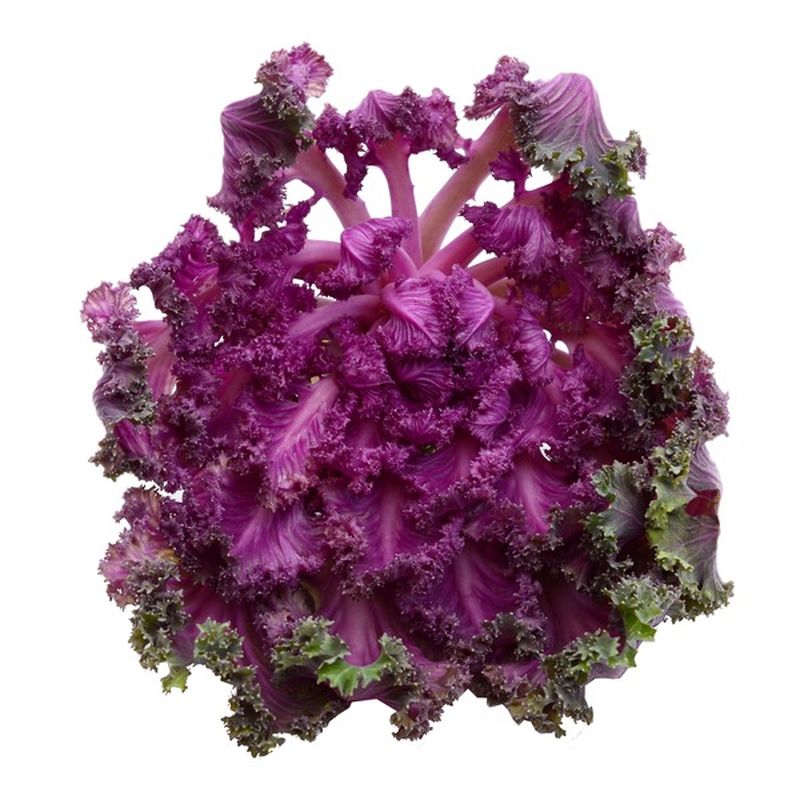 Organic Purple Kale (1 lb) Instacart