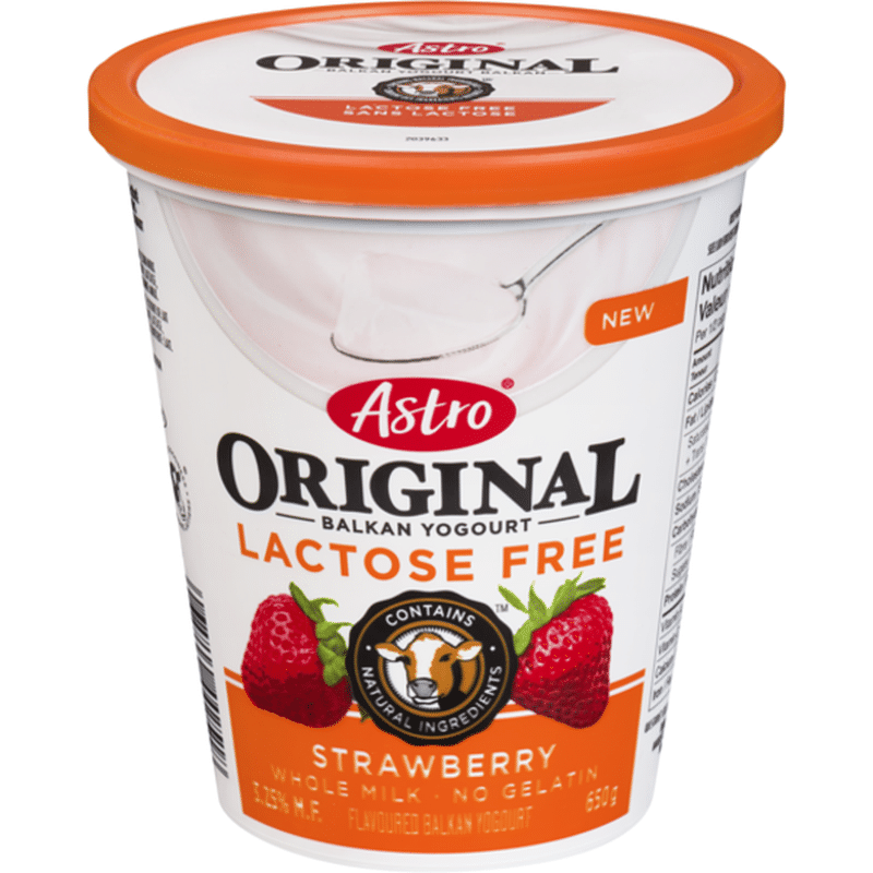 Astro 3.25% Lactose Free Strawberry Flavor Yogurt