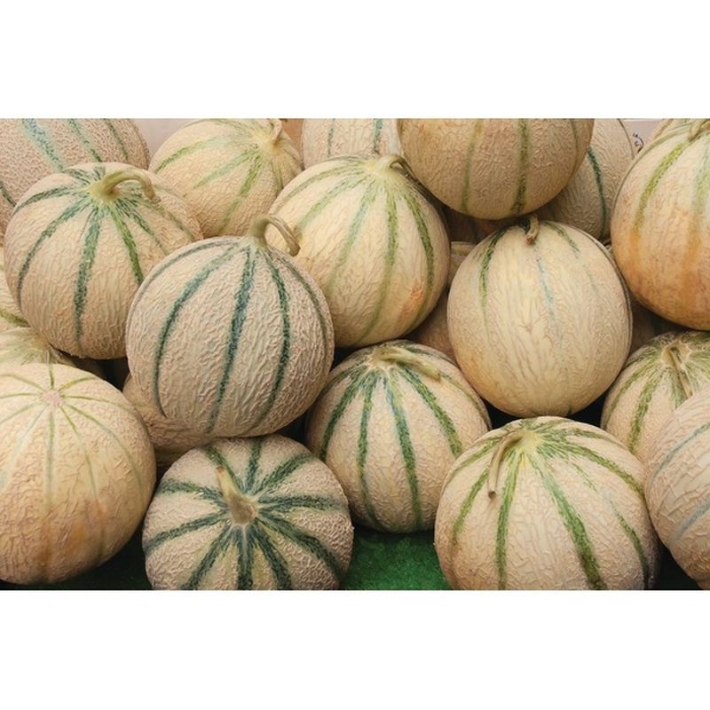 Tuscan Melons (2 ct) Instacart