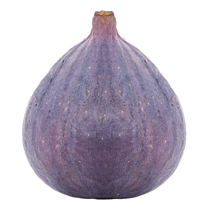 Purple fig