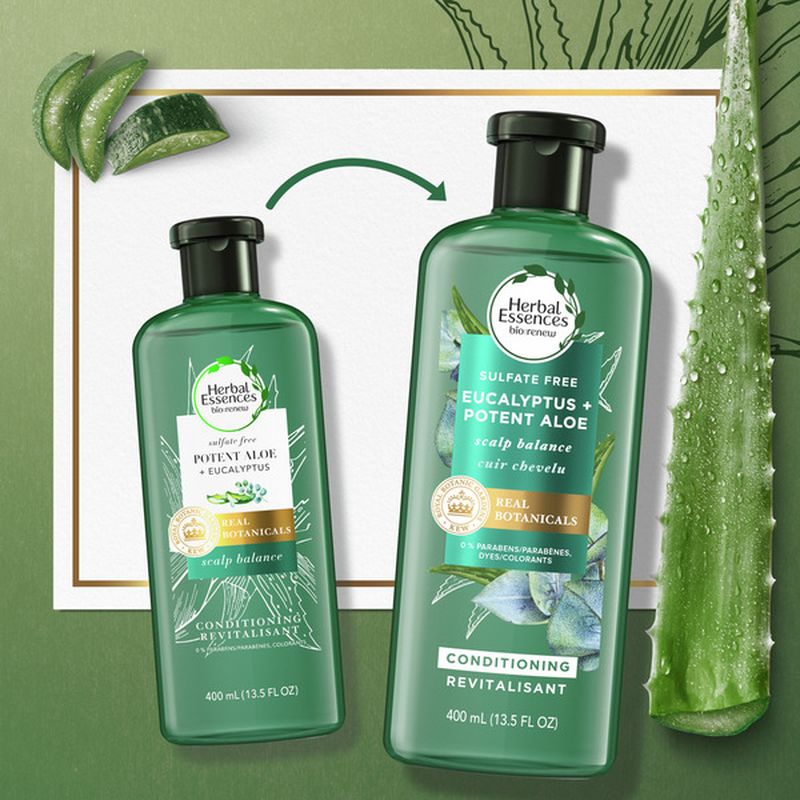 Herbal Essences biorenew Eucalyptus + Potent Aloe Conditioner Scalp