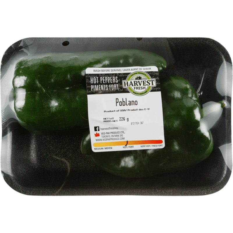 Harvest Fresh Poblano Hot Peppers