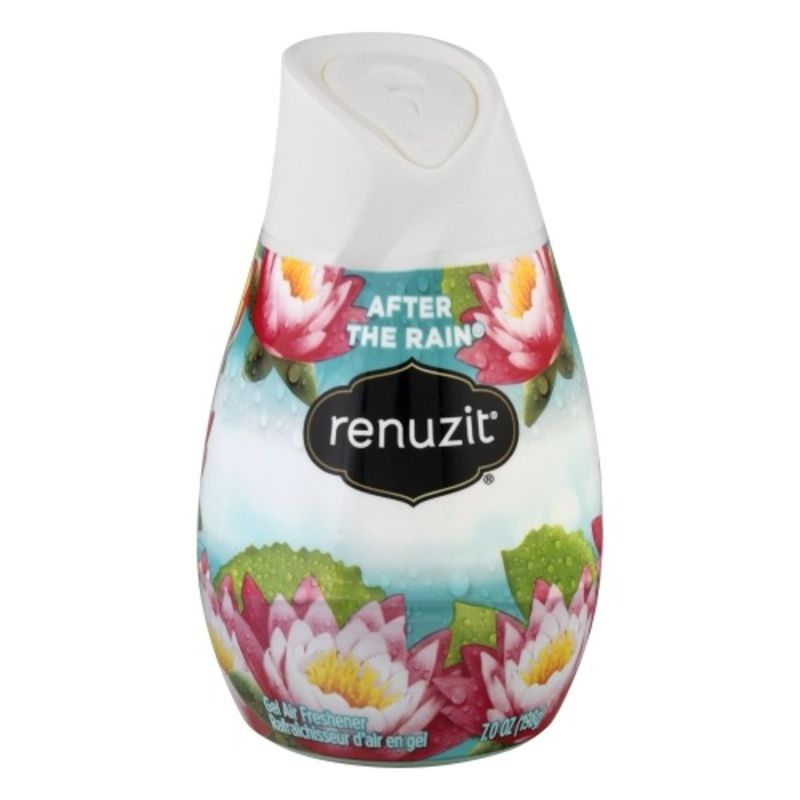 Renuzit Solid Gel Air Freshener Cone, After the Rain (7 oz) from