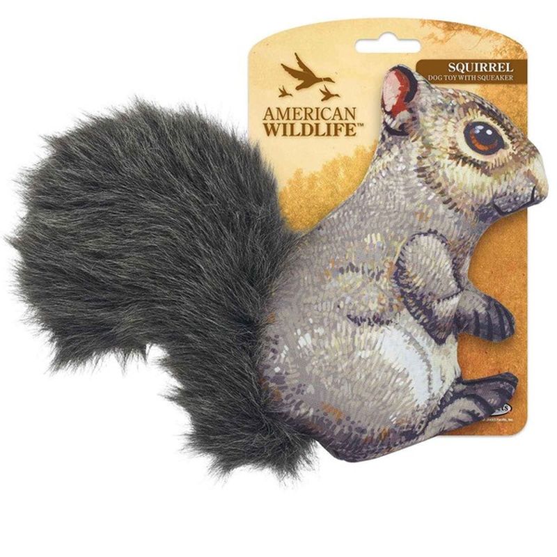 dog toy squirrel squeaker