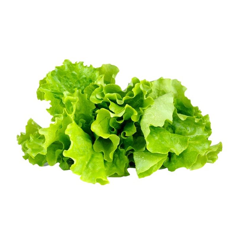 Organic Green Leaf Lettuce Bunch (each) Instacart