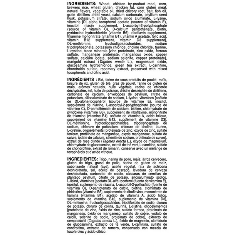 royal canin bichon frise