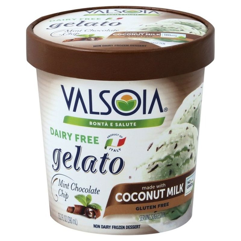 dairy free gelato dairy free gelato