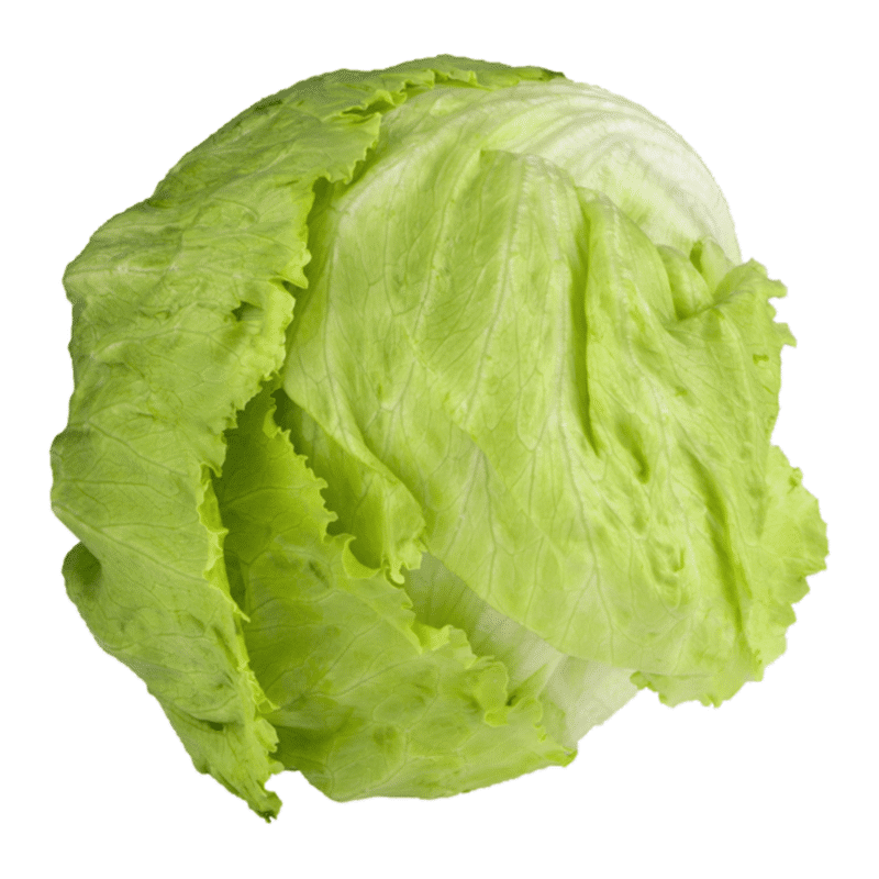 Pure Pacific Organic Iceberg Lettuce Head (each) Instacart