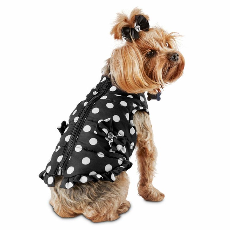 dog bomber jacket large