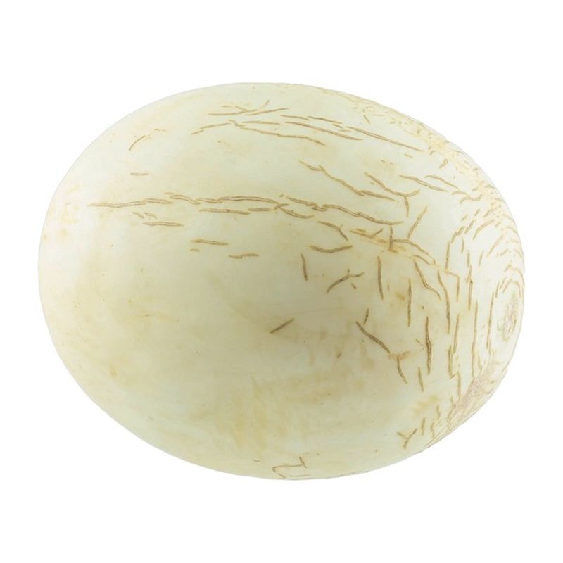 Sprite Melon (each) Delivery or Pickup Near Me Instacart