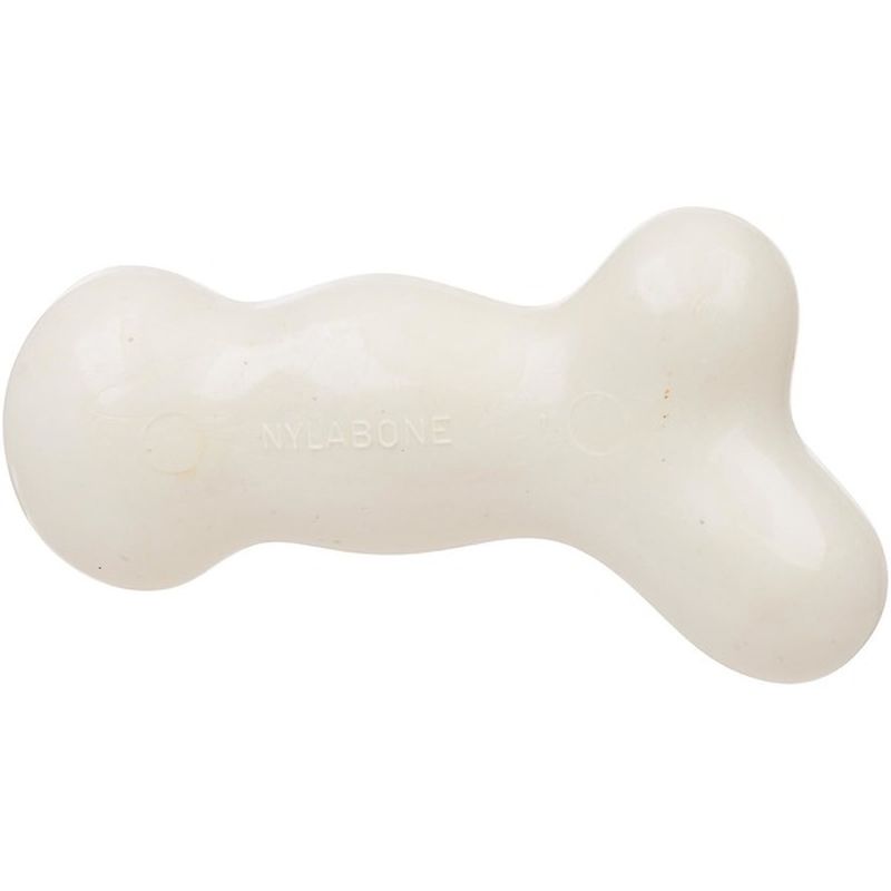 galileo dog bone