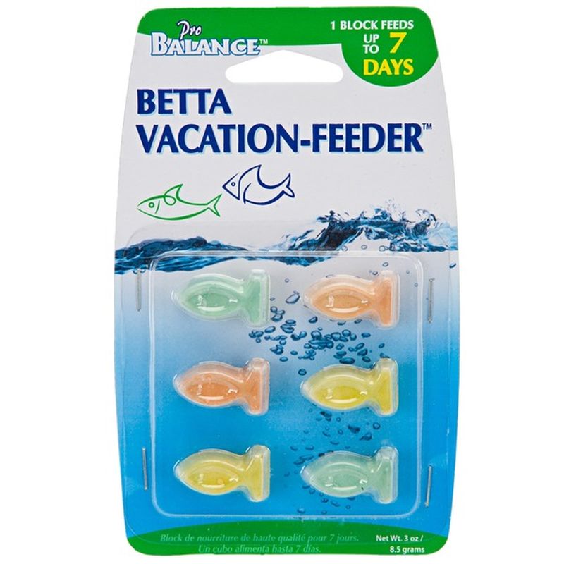 betta fish feeder vacation betta fish feeder vacation