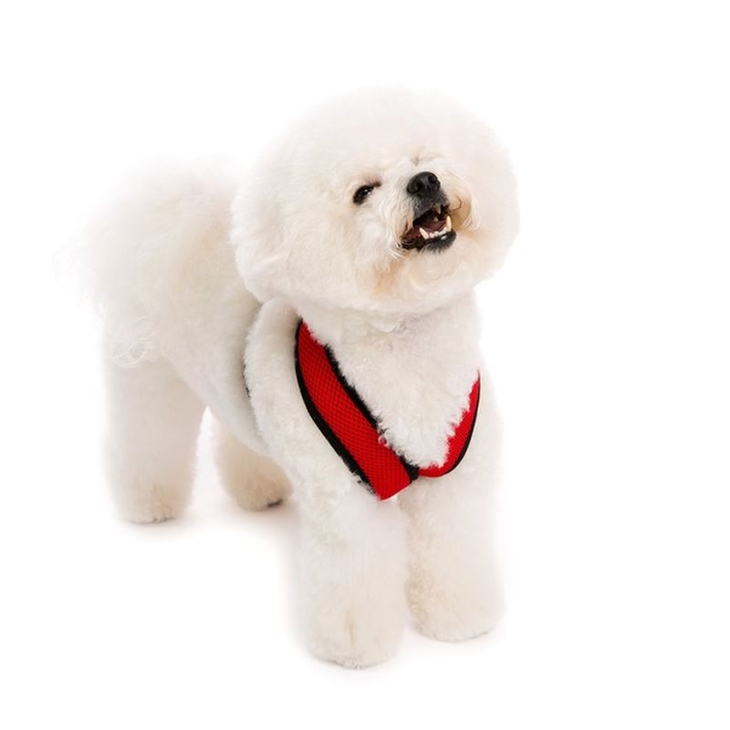 gooby step in harness