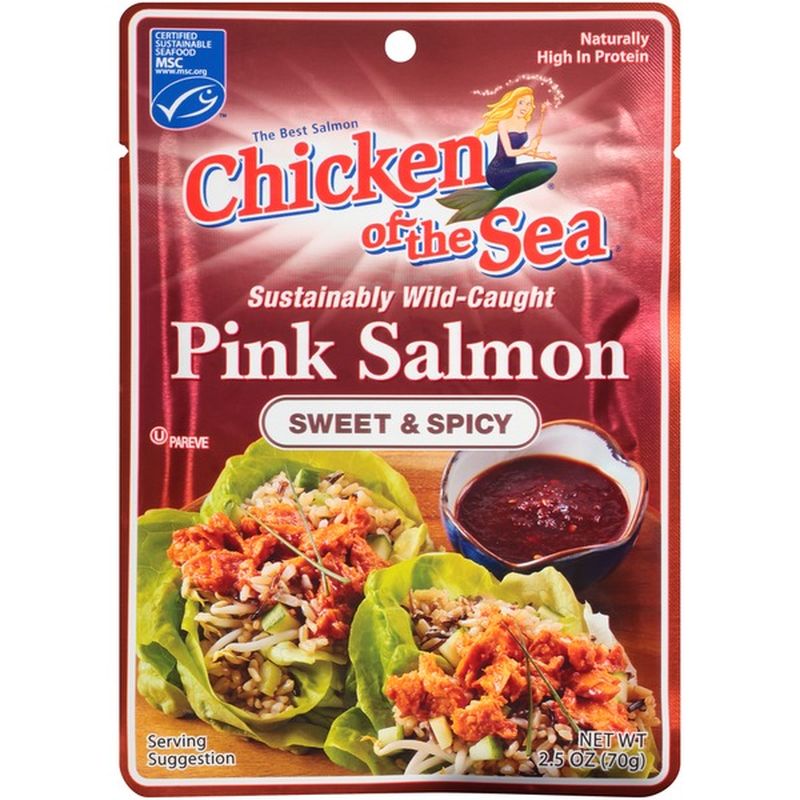 CHICKEN OF THE SEA WILD CAUGHT PINK SALMON RECIPES