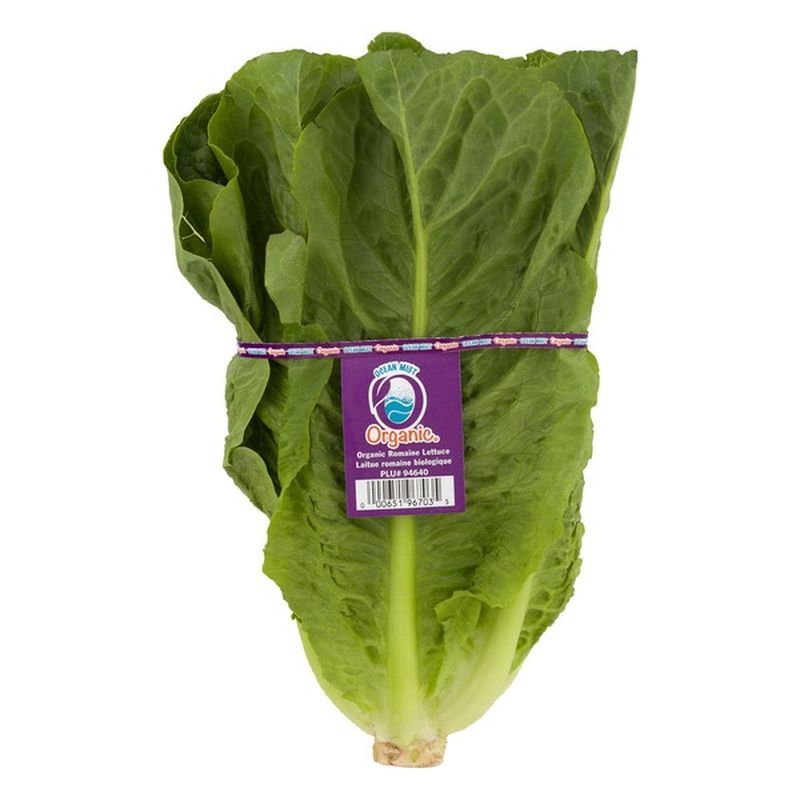 Ocean Mist Farms Organic Romaine Lettuce (1 ct) - Instacart