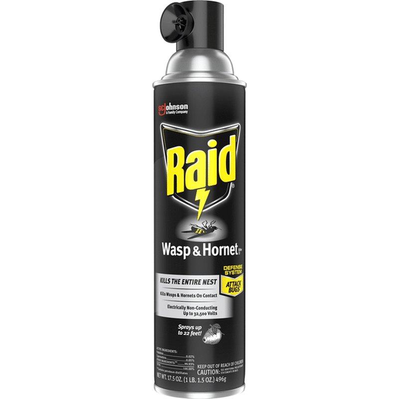 Raid Wasp Hornet Killer 33 17 5 Oz Instacart