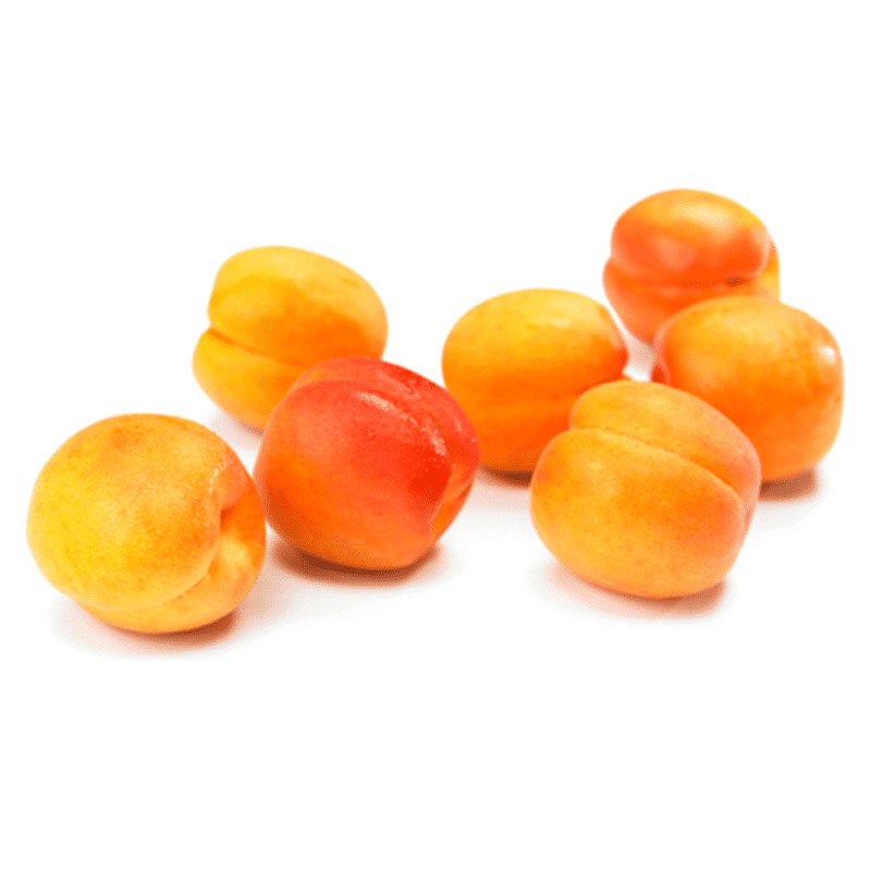 Organic Artisan Bread Organic Apricots