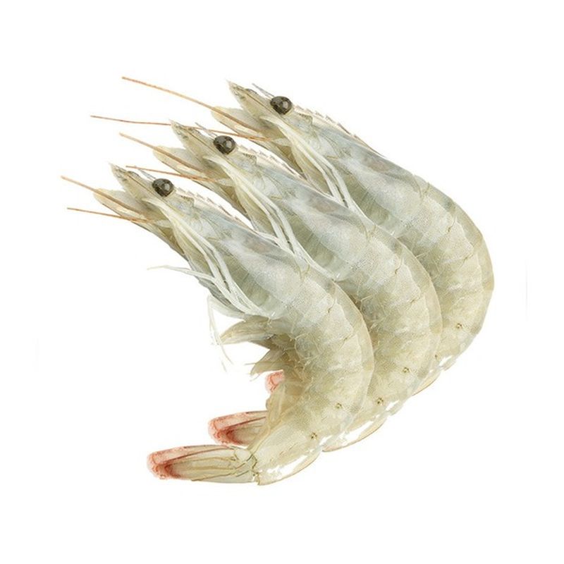 40/50 Ecuador White Shrimp Ho