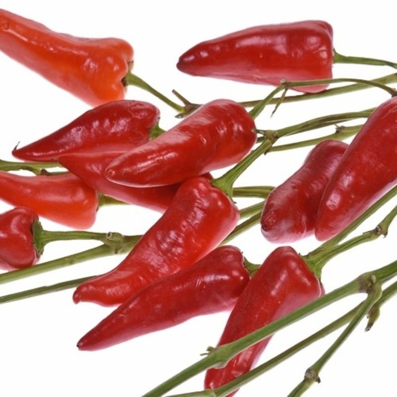 Chile Peppers Bunch