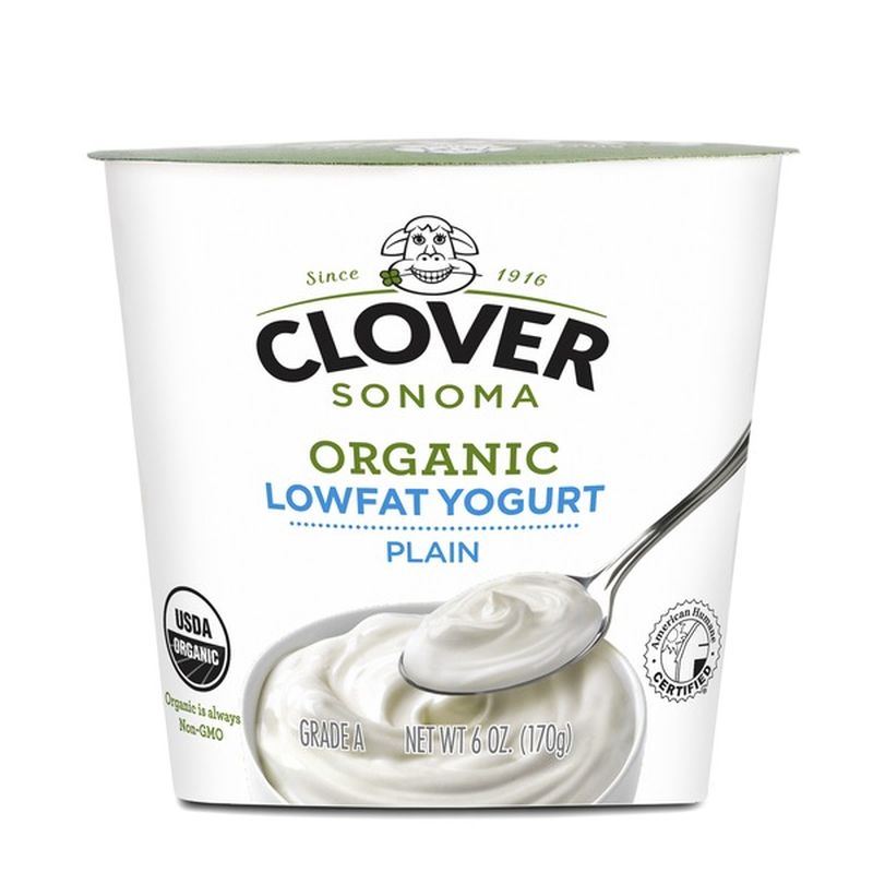 Clover Stornetta Organic Lowfat Plain Yogurt (6 oz) - Instacart