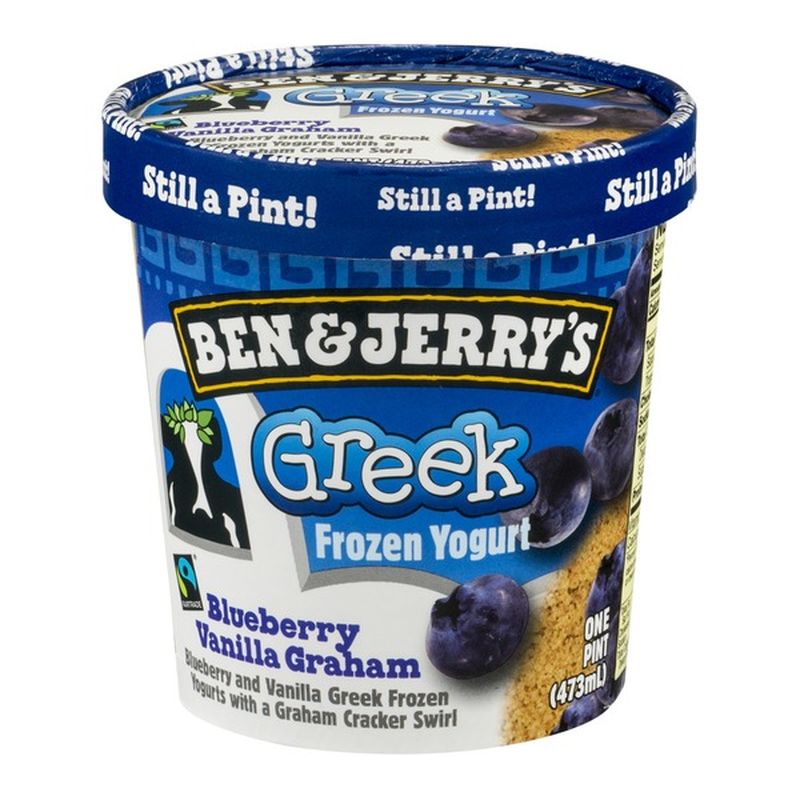 Ben & Jerry's Frozen Yogurt Blueberry Vanilla Graham Greek (16 fl oz