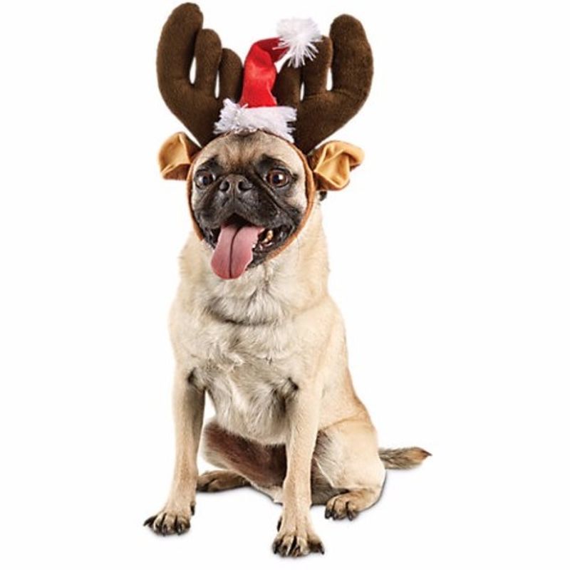 Time For Joy Large & Extra-Large Traditional Antlers Dog Headpiece