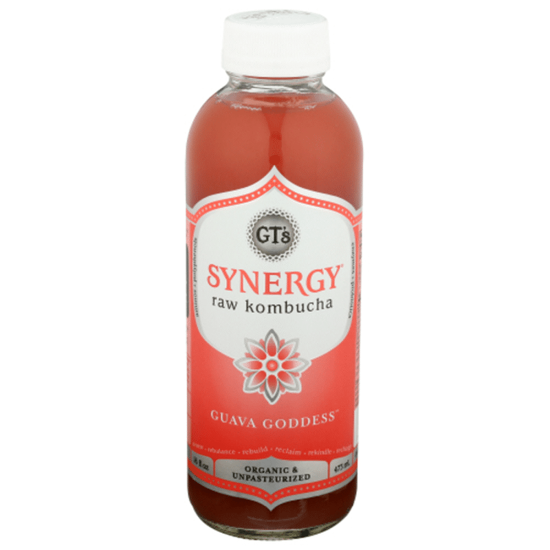 synergy kombucha gingerberry