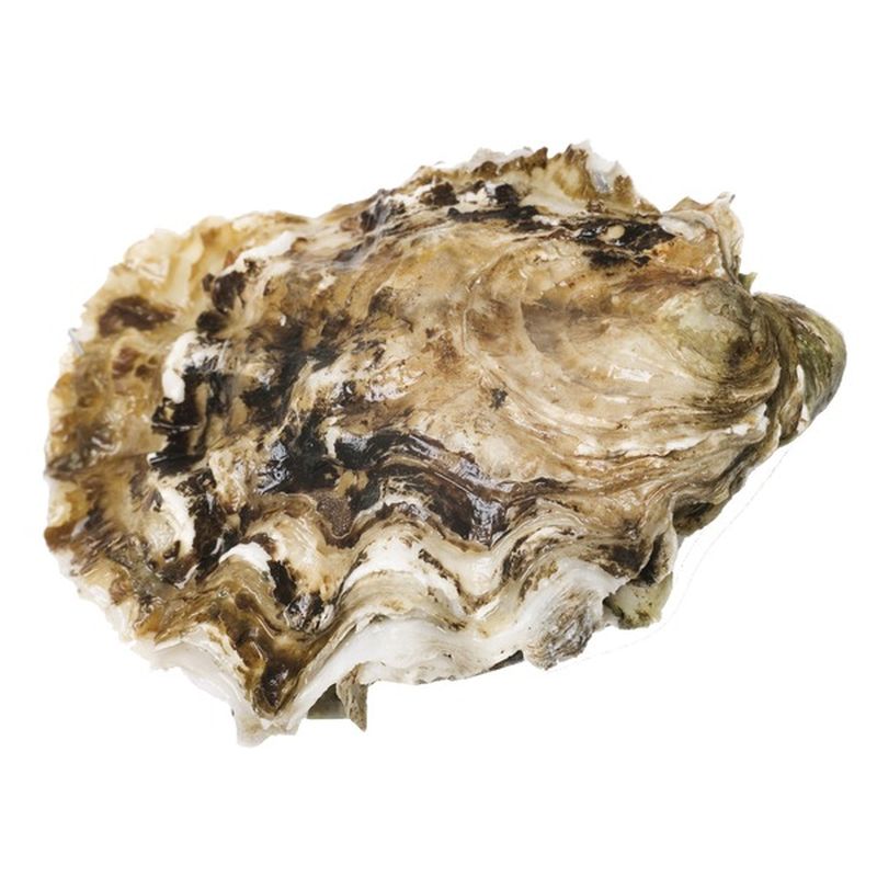 Hilton's Fresh Extra Small Oysters (16 oz) Instacart