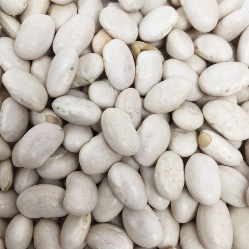 Bulk Beans Organic Great Northern Beans (1 lb) Instacart