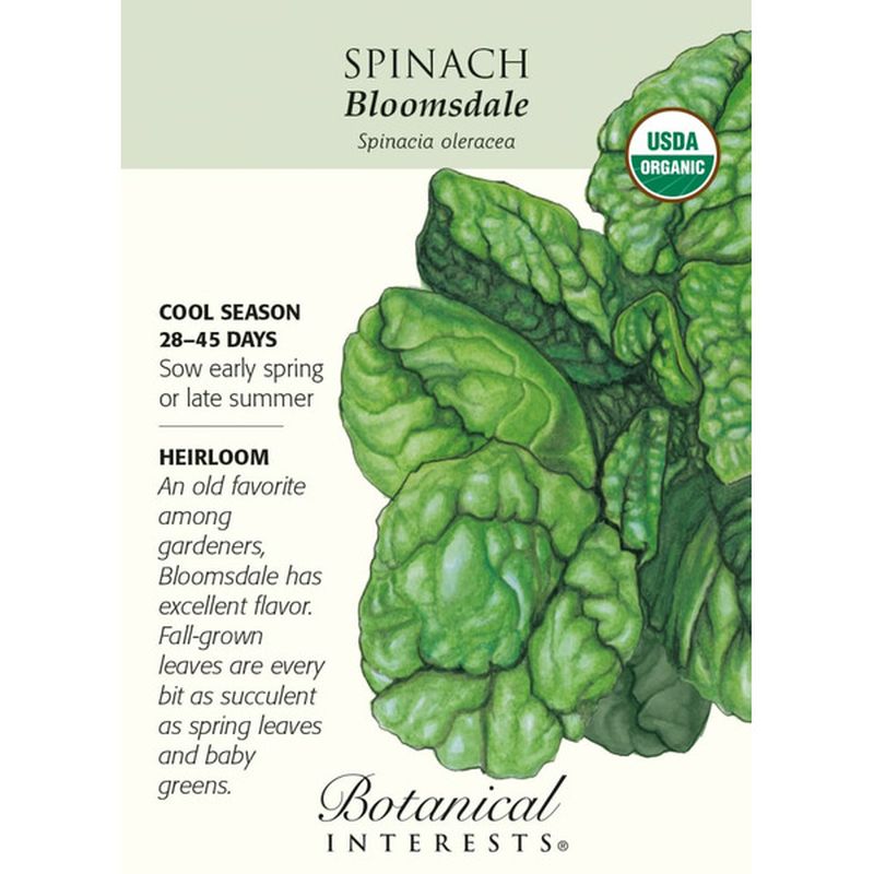 Botanical Interests Spinach Bloomsdale