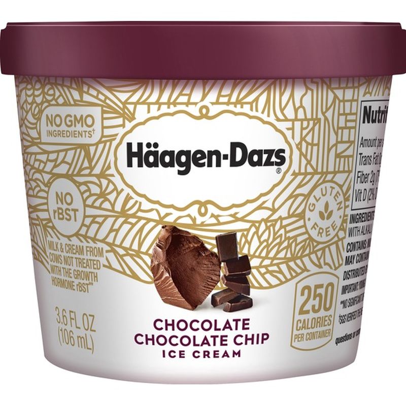 Haagen Dazs Chocolate Chocolate Chip Ice Cream 3 6 Fl Oz Instacart