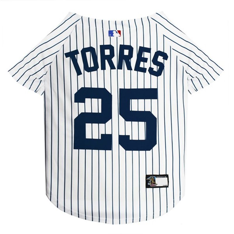 derek jeter dog jersey